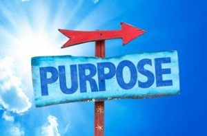 What’s Your Purpose? - Call Looking Beyond Master Psychic Readers 1-800-500-4155 now!