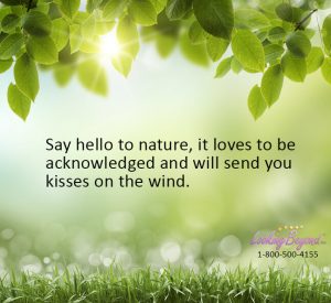 Say Hello To Nature - Call Looking Beyond Master Psychic Readers 1-800-500-4155 now!