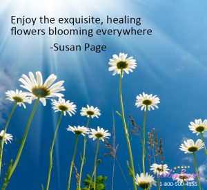 Enjoy the Flowers, with Looking Beyond, by Looking Beyond Master Psychic Readers